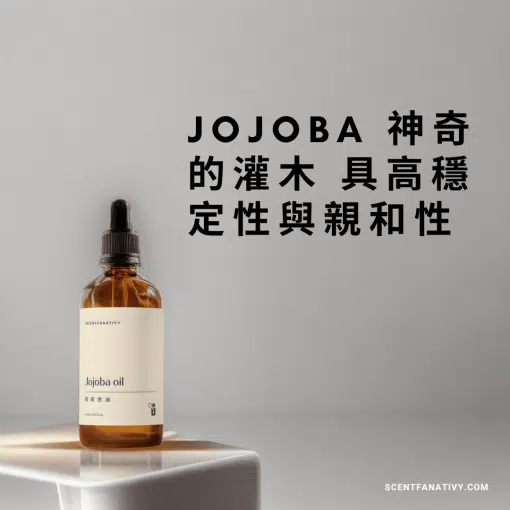 荷荷芭油，JOJOBA 神奇的灌木 具高穩定性與親和性