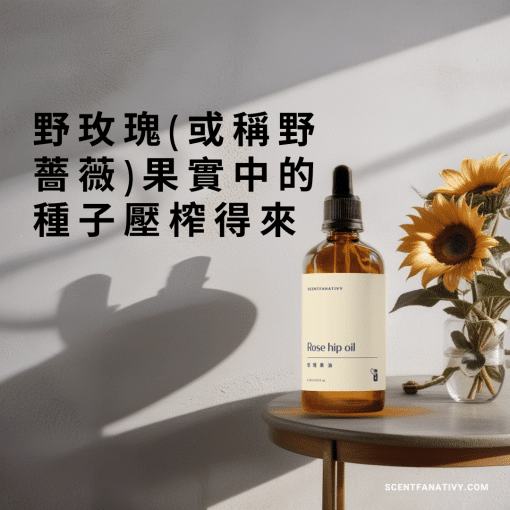 野玫瑰(或稱野薔薇)果實中的種子壓榨得來