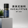 澳洲尤加利精油，售價$NT200