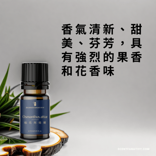 桂花阿塔爾精油 Osmanthus attar，香氣清新、甜美、芬芳，具有強烈的果香和花香味