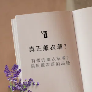 本圖以極簡書頁與薰衣草花束為視覺核心，探討「真正薰衣草？」的真假疑問，並深入介紹常見薰衣草品種與辨別要點，協助消費者選購優質薰衣草精油。