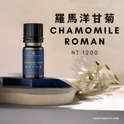 羅馬洋甘菊精油 10ml，商品售價$NT1200