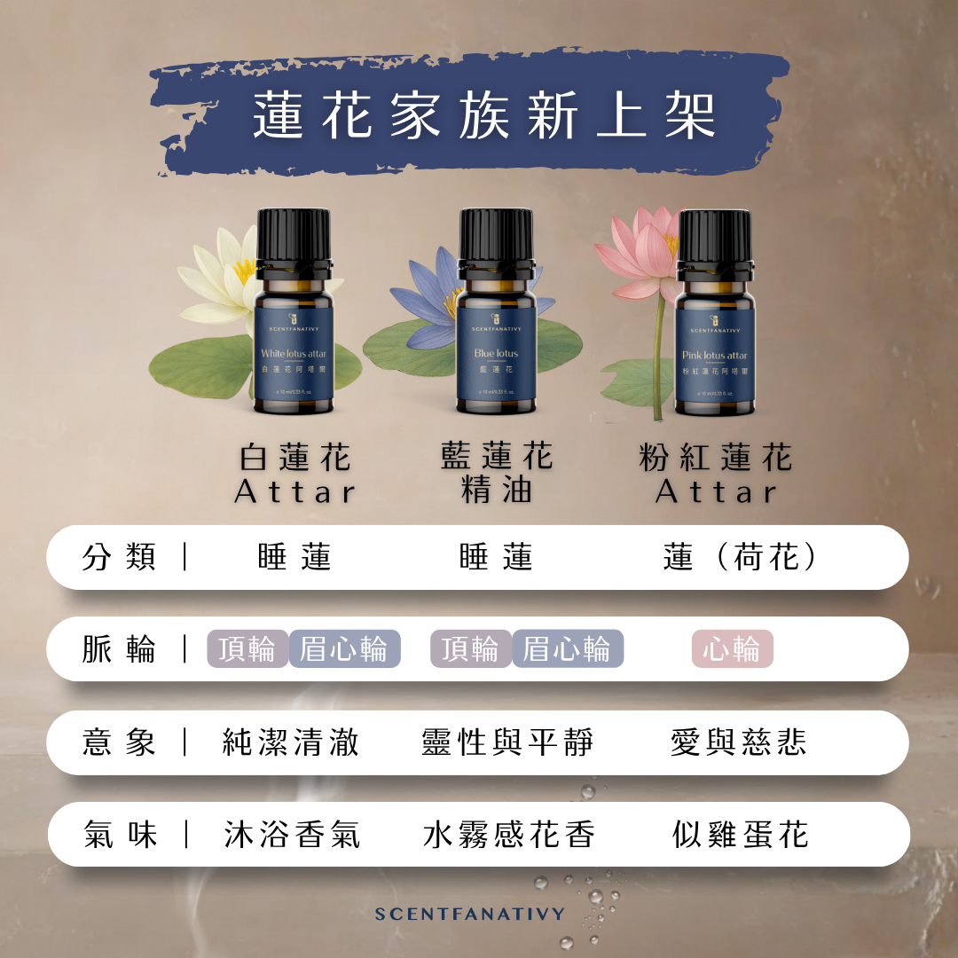 粉紅蓮花阿塔爾 Pink lotus attar 10ml 4 詩梵娜香氛「蓮花家族新上架」系列,包含白蓮花阿塔爾、藍蓮花精油與粉紅蓮花阿塔爾三款。白蓮花象徵純潔清澈,氣味如沐浴香氣;藍蓮花帶來靈性與平靜,散發水霧感花香;粉紅蓮花則代表愛與慈悲,香氣似雞蛋花般柔和。三款皆對應不同脈輪能量——白蓮花啟動頂輪,藍蓮花連結眉心與頂輪,粉紅蓮花則對應心輪,適合靜心、冥想與情緒療癒使用。