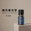 穗花薰衣草精油｜思緒清晰、鎮靜安定。詩梵娜香氛Scentfanativy嚴選穗花薰衣草（Spike Lavender），以溫和草本氣息帶來專注與平衡感，適合冥想、深呼吸或需要清醒思考時使用。天然芳香能協助呼吸順暢，舒緩頭部緊繃與壓力