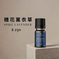 穗花薰衣草精油｜思緒清晰、鎮靜安定。詩梵娜香氛Scentfanativy嚴選穗花薰衣草（Spike Lavender），以溫和草本氣息帶來專注與平衡感，適合冥想、深呼吸或需要清醒思考時使用。天然芳香能協助呼吸順暢，舒緩頭部緊繃與壓力