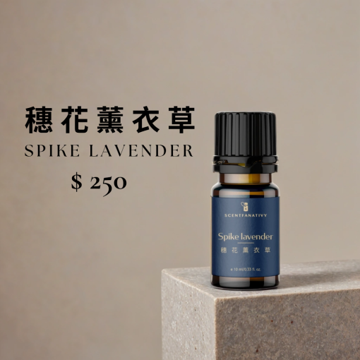 穗花薰衣草精油｜思緒清晰、鎮靜安定。詩梵娜香氛Scentfanativy嚴選穗花薰衣草（Spike Lavender），以溫和草本氣息帶來專注與平衡感，適合冥想、深呼吸或需要清醒思考時使用。天然芳香能協助呼吸順暢，舒緩頭部緊繃與壓力