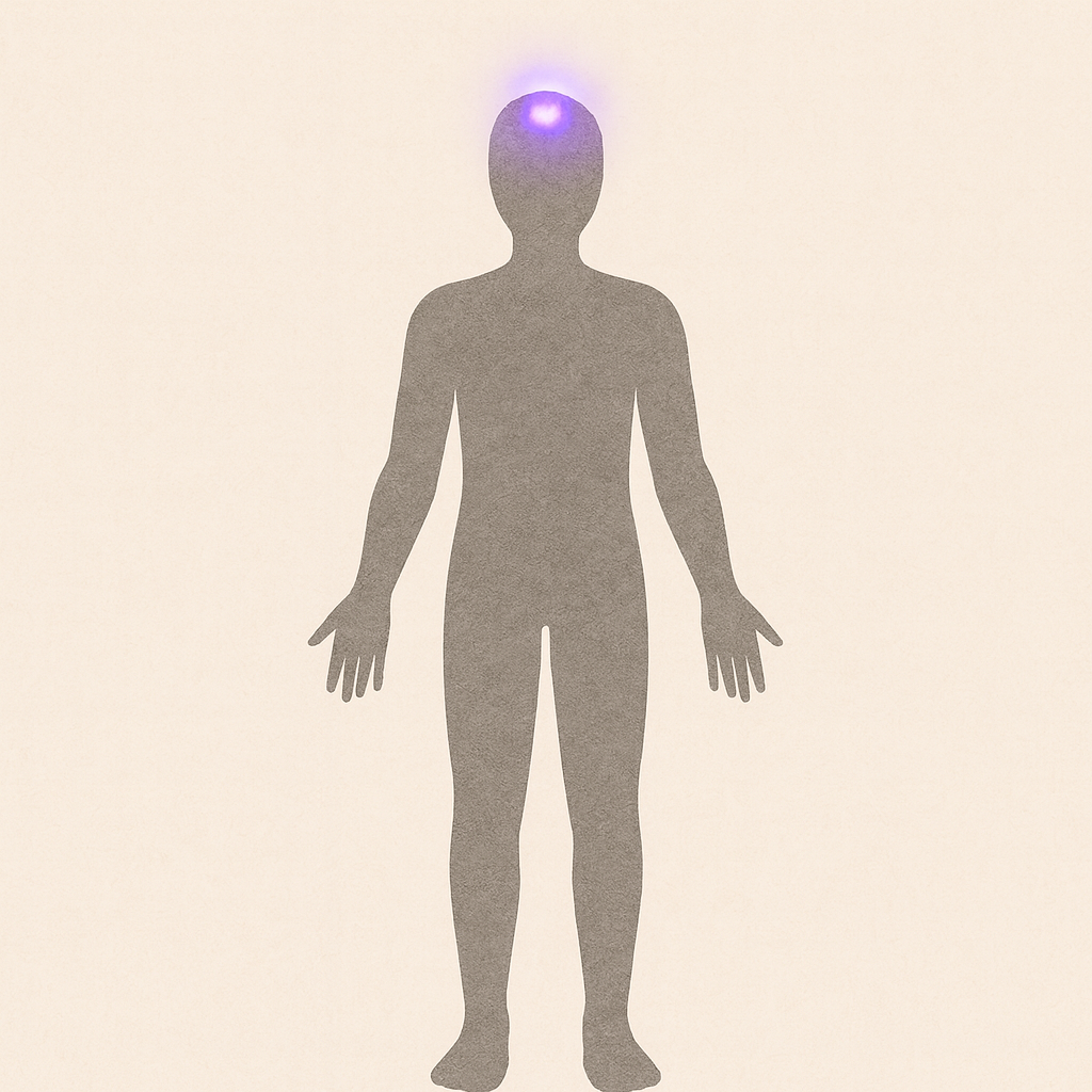 人體示意圖顯示頂輪位置於頭頂中央並散發紫色能量光。