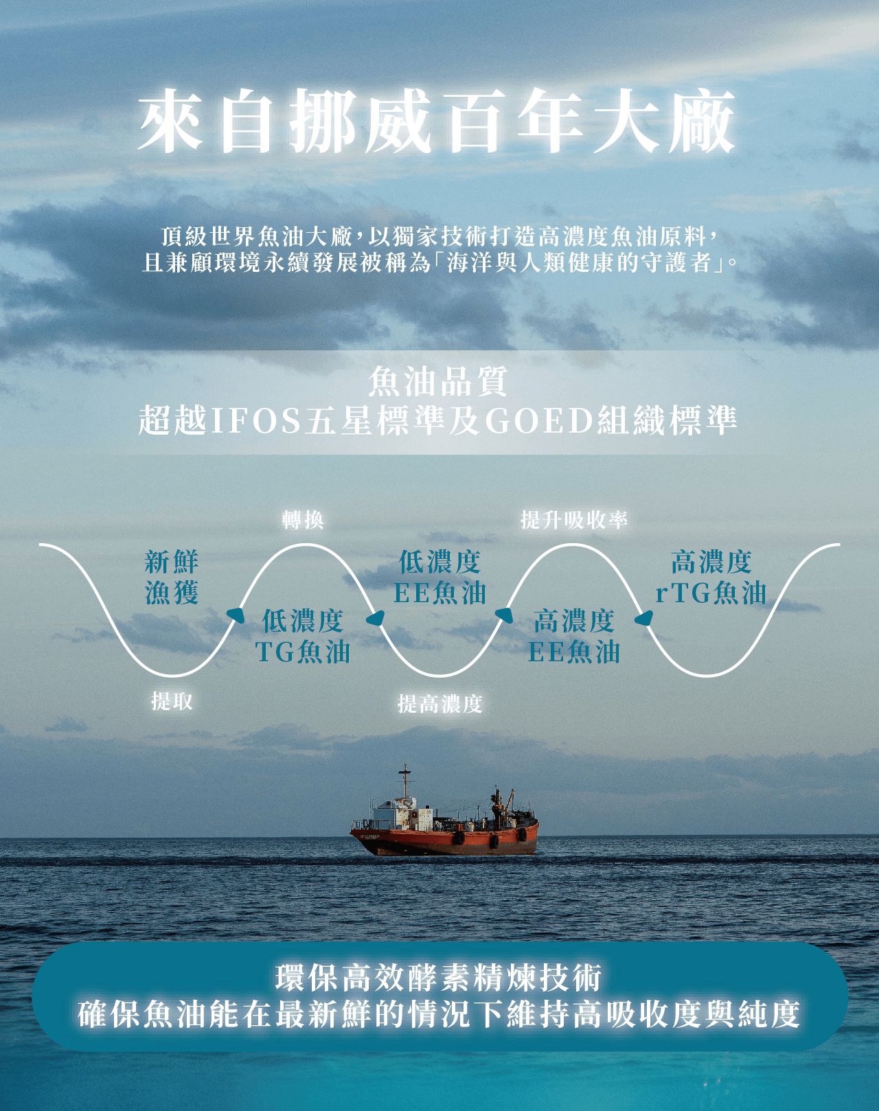 【詩梵娜香氛 X 純淨女神】寧靜靈光組 純淨超能魚油 解憂複方精油 rTG魚油 90% Omega3 高濃度魚油小顆好吞 19 純淨超能魚油 3