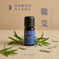 龍艾精油（Tarragon Essential Oil）呈現溫潤草本氣息，帶有微辛與清新感，適合搭配柑橘調精油使用，能提升整體香氣的明亮度與層次感。此款精油常被用於芳療放鬆、情緒穩定與能量提升，幫助釋放壓力、喚醒內在動力，營造清新且具有力量感的香氛氛圍，適合日常居家與工作空間使用。