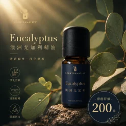 詩梵娜香氛尤加利精油瓶身置於綠葉與暖光氛圍中,呈現清新舒暢、淨化提振的療癒感。