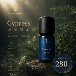 精油推薦品牌 - Scentfanativy 詩梵娜香氛 31 詩梵娜香氛 Cypress 絲柏精油瓶身置於森林氛圍場景中,呈現沉穩放鬆的香氛感受。