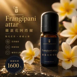詩梵娜香氛 Frangipani attar 雞蛋花阿塔爾精油,搭配花朵氛圍營造溫暖療癒的香氛感受。