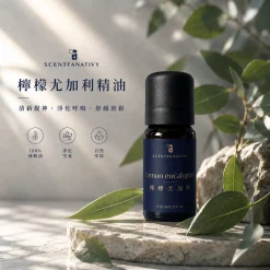 精油推薦品牌 - Scentfanativy 詩梵娜香氛 1 詩梵娜香氛檸檬尤加利精油置於石板與綠葉間,畫面呈現清新自然、舒緩放鬆的氛圍。