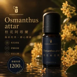 詩梵娜香氛桂花阿塔爾精油瓶身宣傳圖,搭配溫暖金色桂花意象與靜心療癒氛圍。