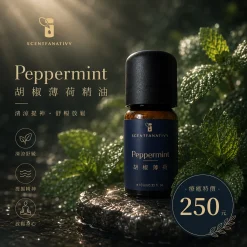 詩梵娜香氛 Peppermint 胡椒薄荷精油瓶身置於綠葉與水面氛圍中,呈現清涼舒緩的療癒感。