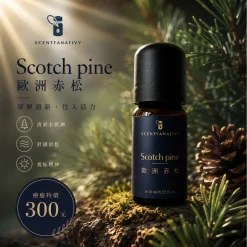 精油推薦品牌 - Scentfanativy 詩梵娜香氛 32 詩梵娜香氛 Scotch pine 歐洲赤松精油瓶身展示,搭配松果與森林綠意,營造清新木質放鬆氛圍。