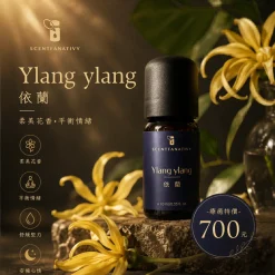 詩梵娜香氛依蘭依蘭精油瓶身展示,搭配花朵與溫暖光影,呈現柔美花香與放鬆氛圍。