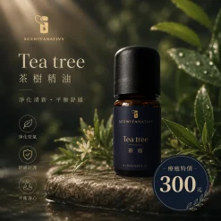 詩梵娜香氛 Tea tree 茶樹精油瓶身置於綠意與水光氛圍中,呈現清新淨化、舒緩放鬆的質感廣告畫面。